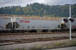 CP 113797